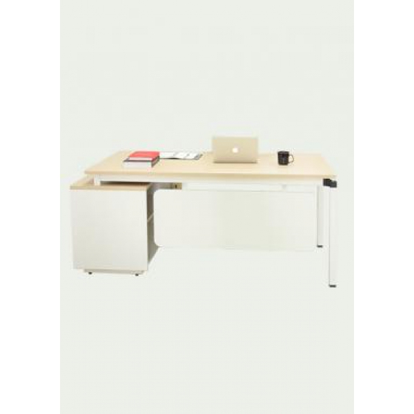 BÀN GIÁM ĐỐC FO1-BGD-01